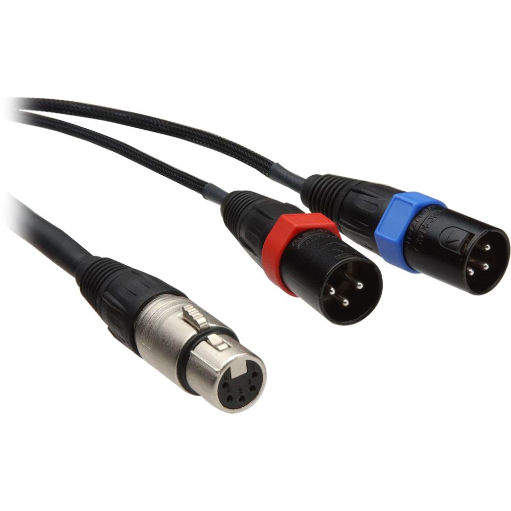 Cable Y de 5 Pines XLR Femenino a Duales XLR Masculinos - 25' - Remote Audio