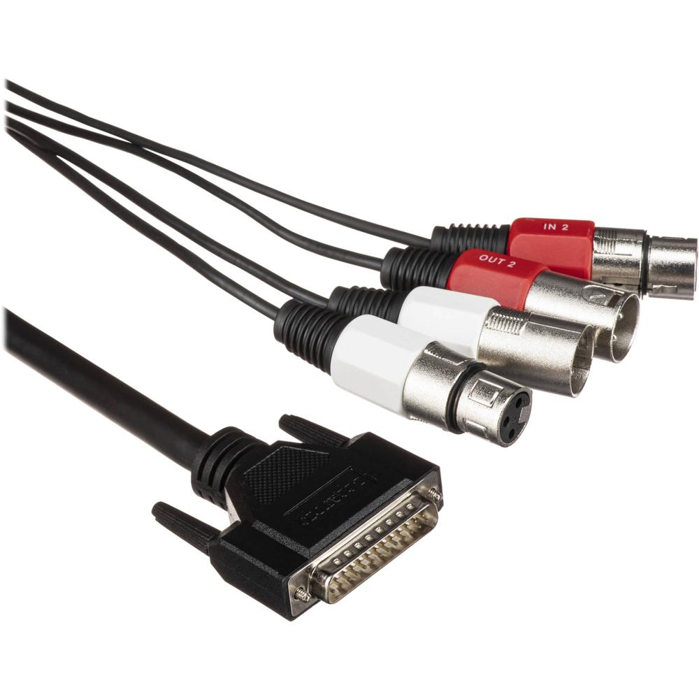 Cable de Audio Lynx Studio Technology CBL-L22 - Conector DB-25 Macho a 2 XLR Macho y 2 XLR Hembra pa