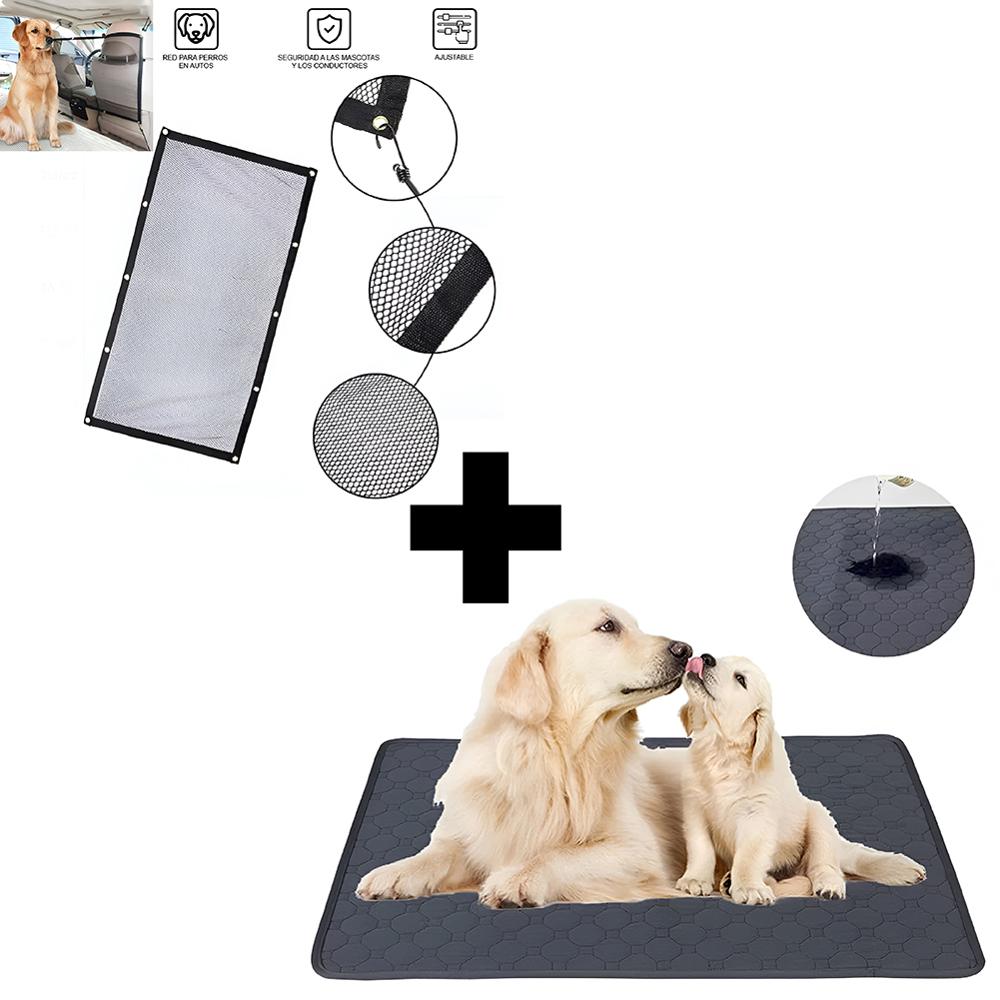 Animal Como Hago Para Que Mi Perro Duerma En Su Cama Animales Como