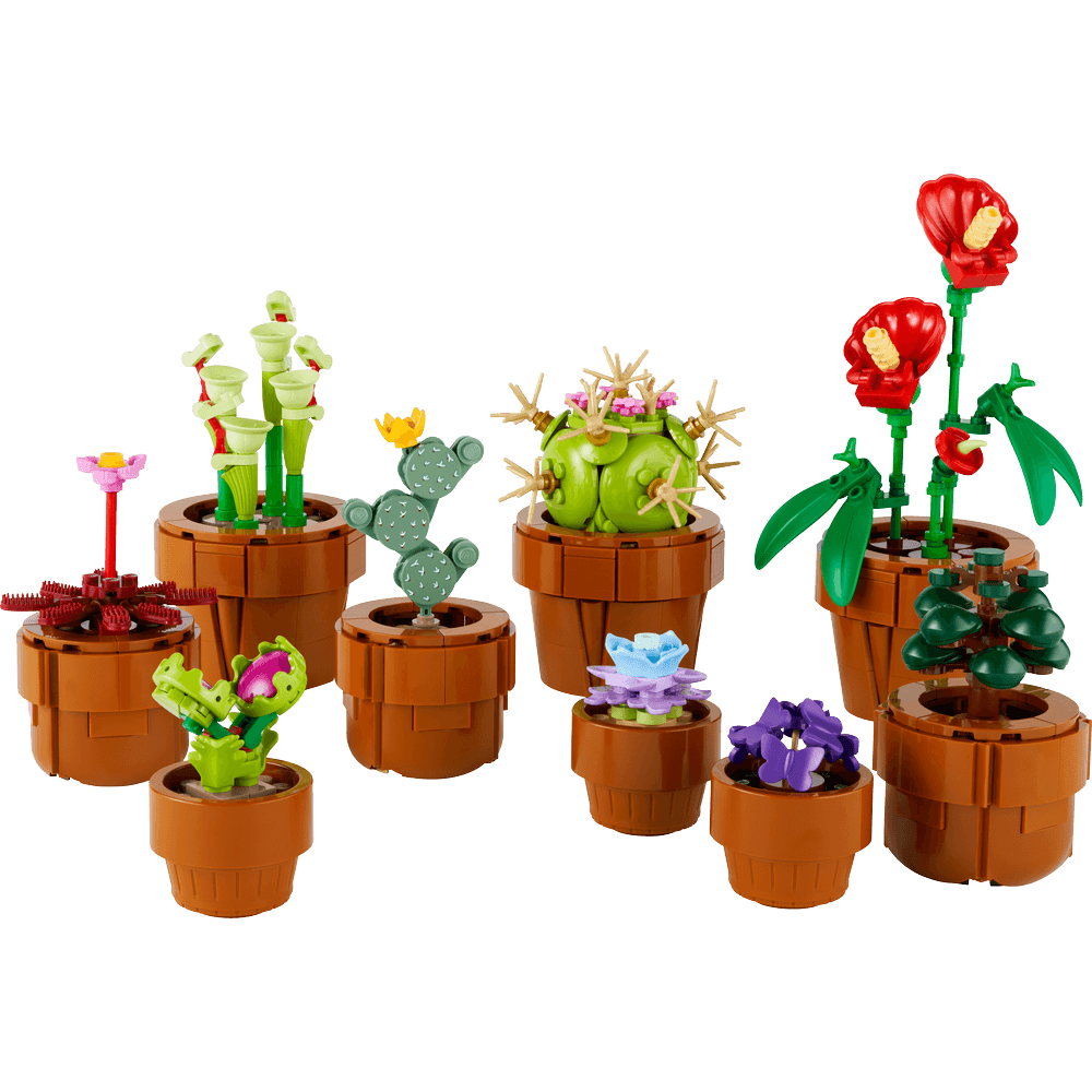 image-8140059e257d4fa1981a3ec37cf4f34a image-8140059e257d4fa1981a3ec37cf4f34a