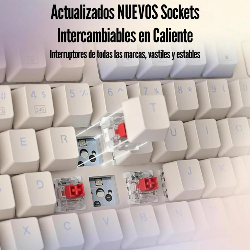 imageUrl_1 imageUrl_1