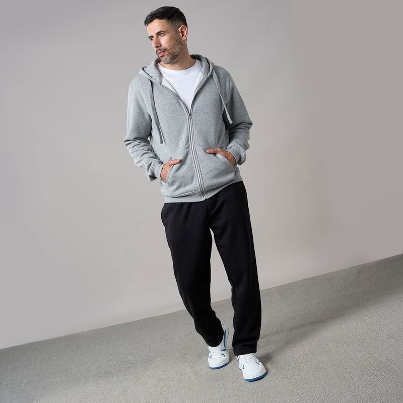 2745560-gris.jpg