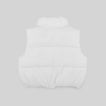 2804527