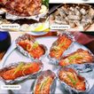 image-a7f6cba9a8934441abfffcc210becff8