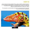 imageUrl_4