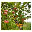 imageUrl_6