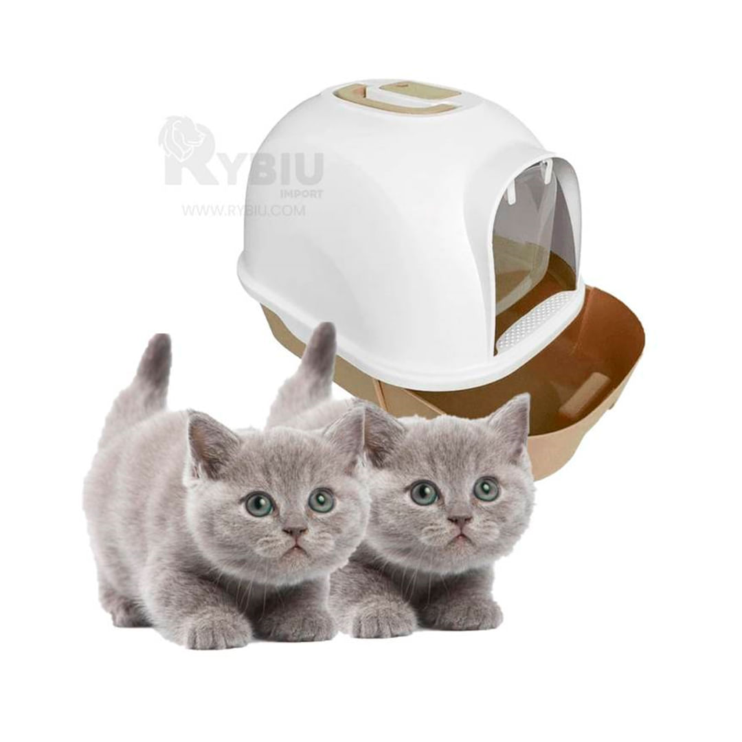 Arenero mas Pala Funcional para Gatos en Cafe Y+St