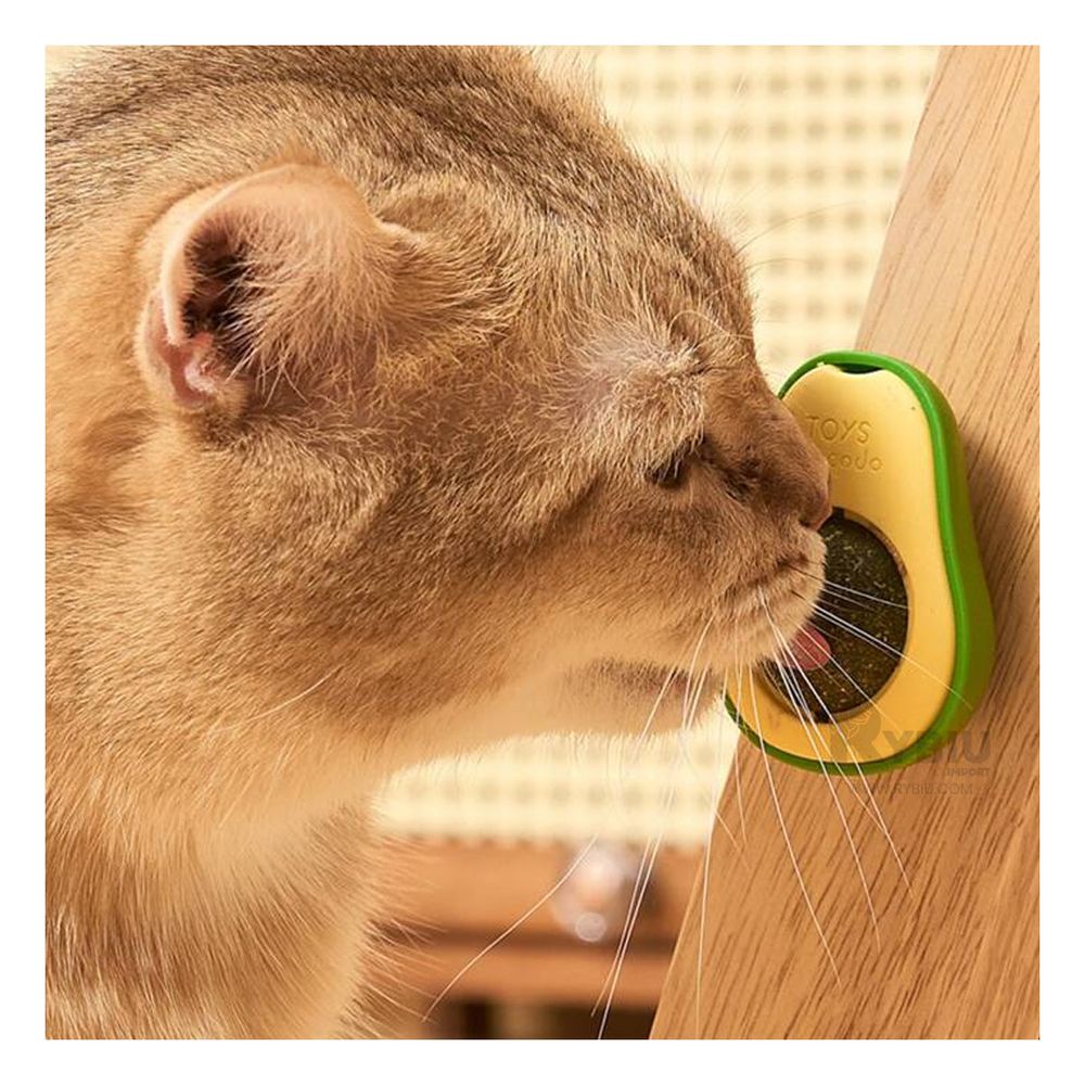 Catnip Juguete de Palta para Gatos Color Verde Y+Agendita Catnip Juguete de Palta para Gatos Color Verde Y+Agendita