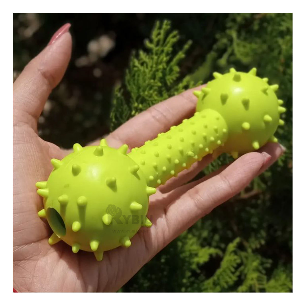Juguete en Forma de Hueso de Jebe en Verde Amarillento