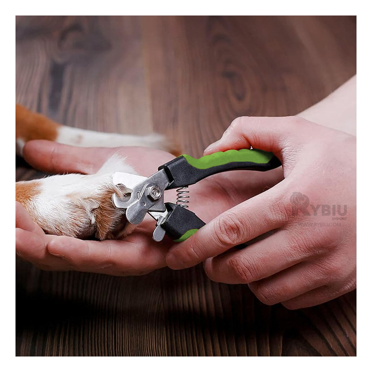 Cortauña Util con Diseño Clasico de Color Verde Y+Agendita