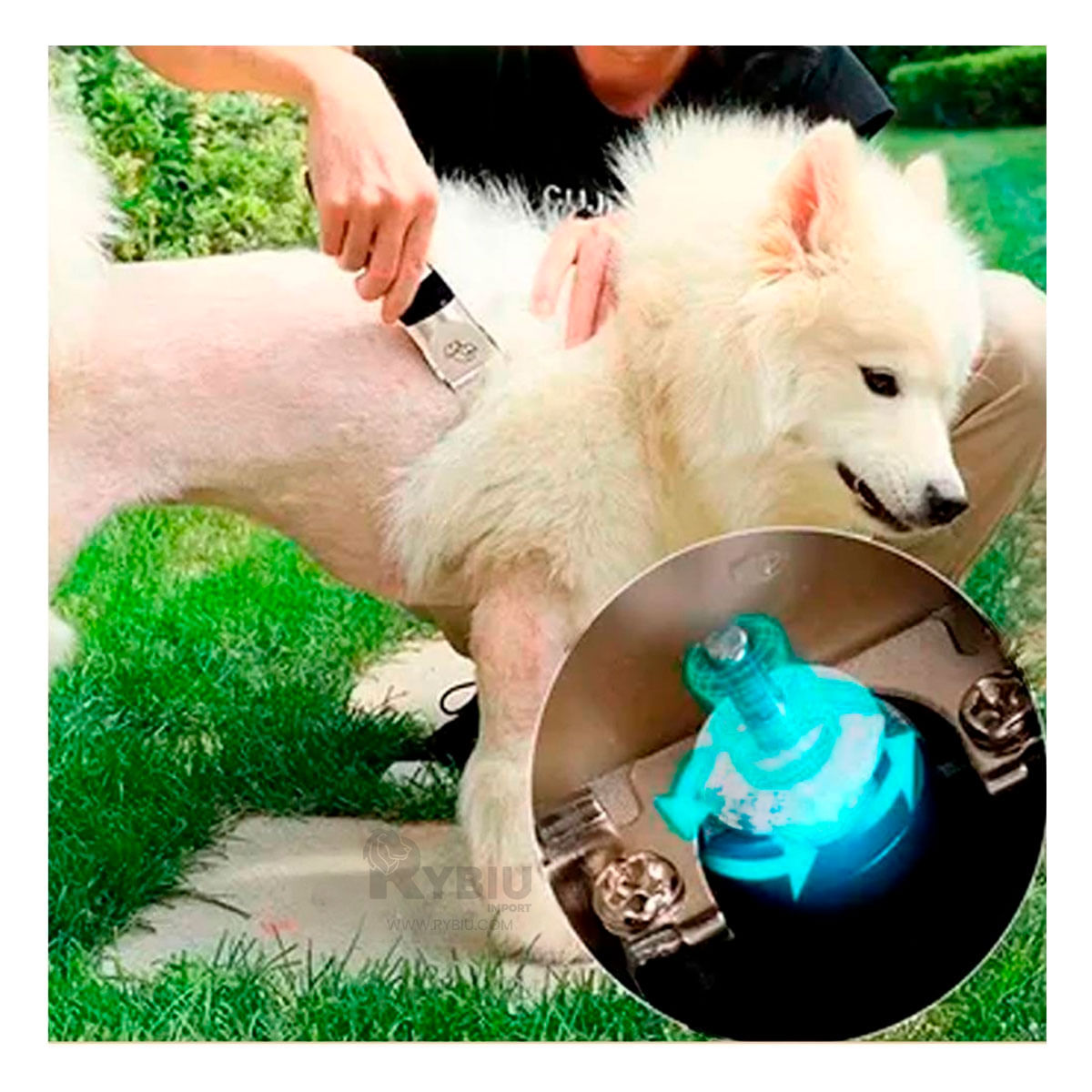 Cortapelo para Cualquier Raza de Dorado Y+Agendita