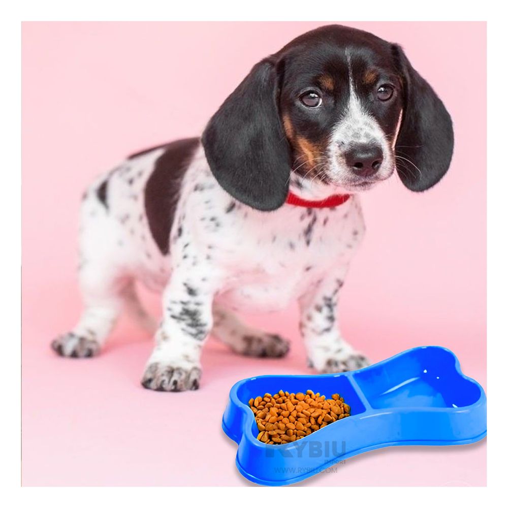 Plato Resistente para Mascotas Doble Azul Y+Papel de Regalo Plato Resistente para Mascotas Doble Azul Y+Papel de Regalo