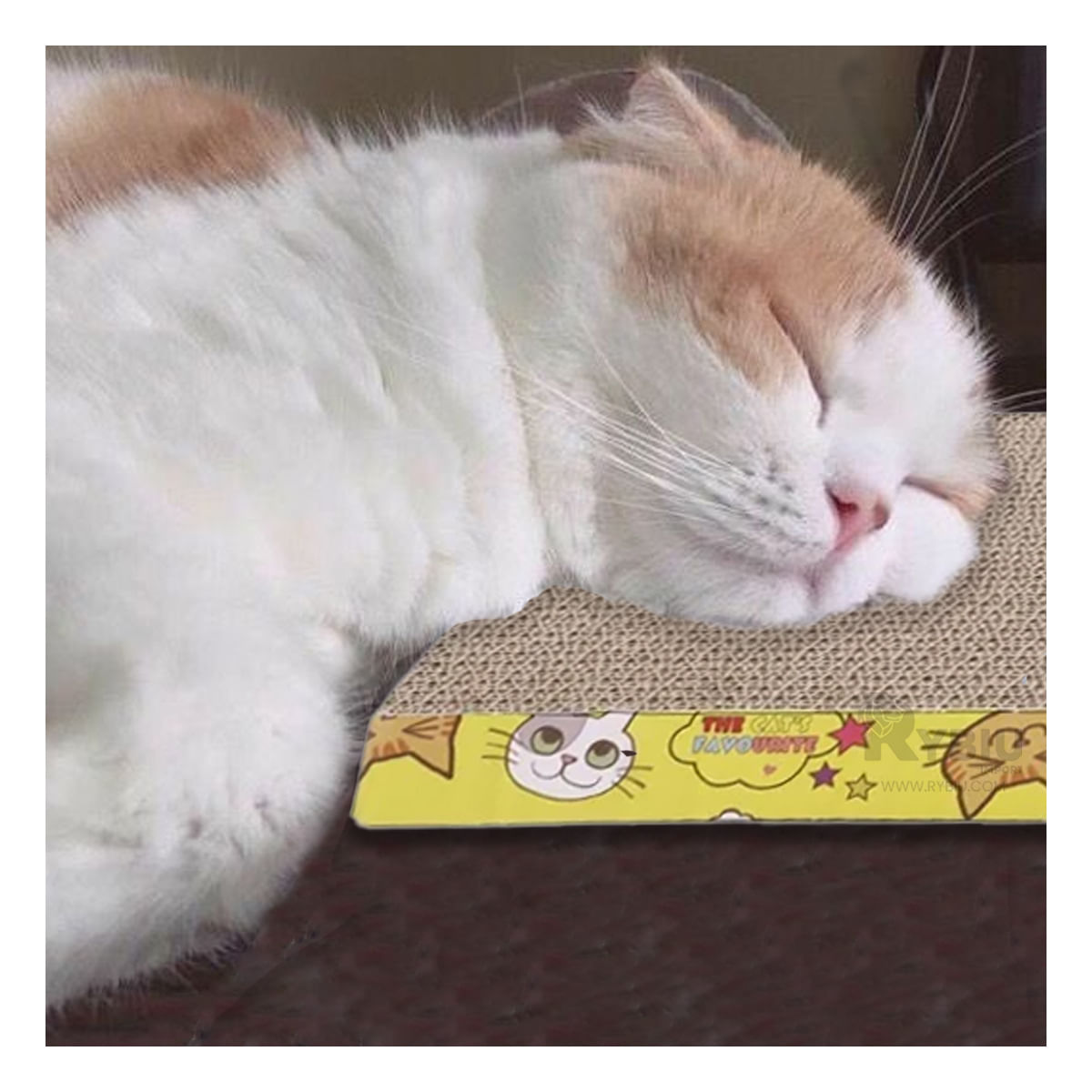 Rascador Bonito y Sofisticado en Carton Y+Stickers