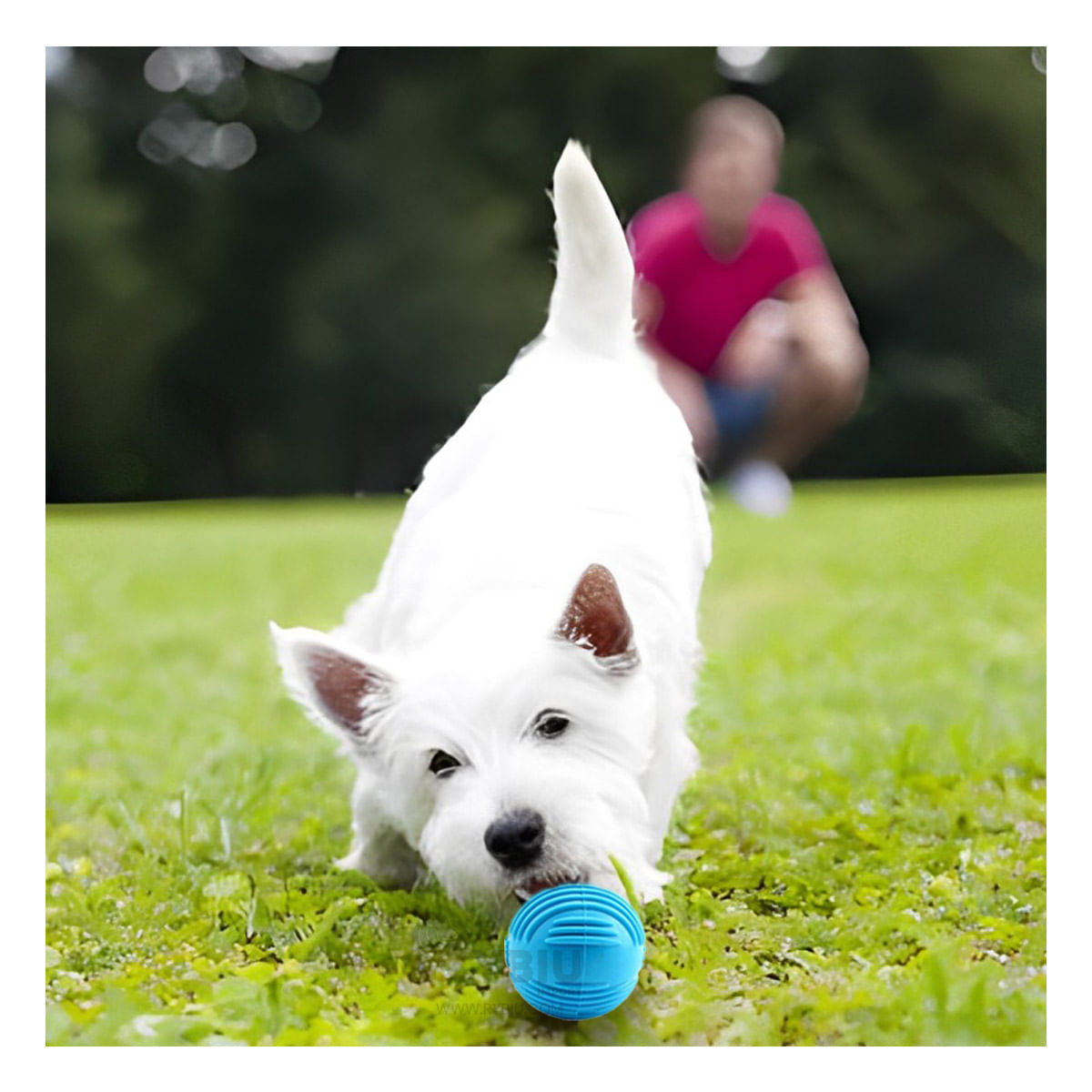 Pelota de Material Goma Suave en Celeste Y+Papel de Regalo