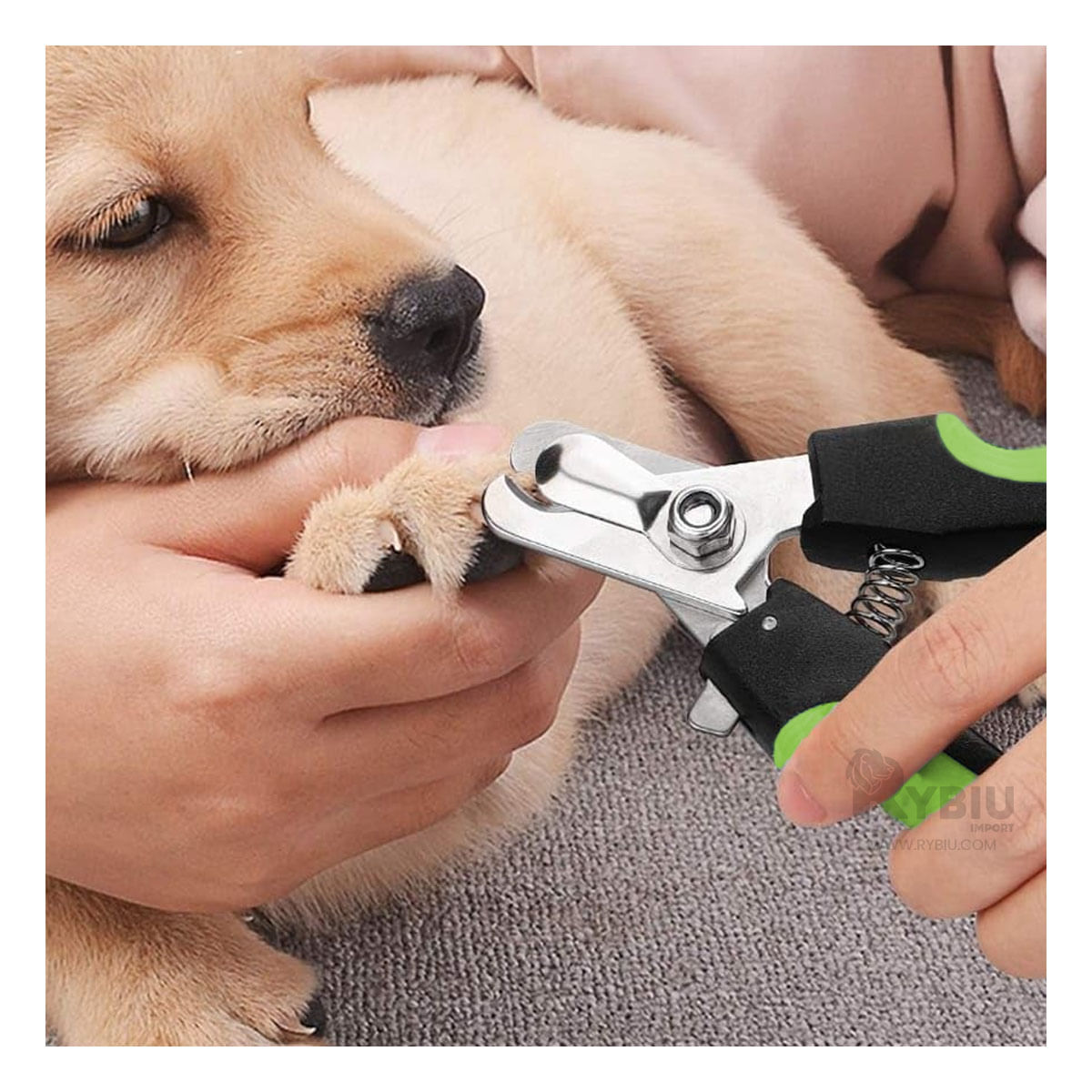 Cortauña para Mascotas y Lima Adicional Large en Tono Verde