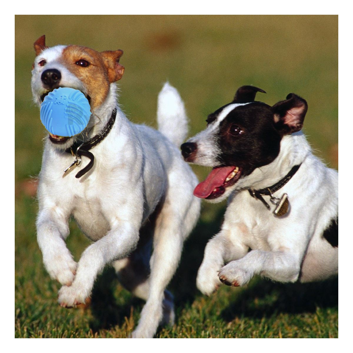 Pelota de Entretenimiento en Color Celeste Y+Stickers