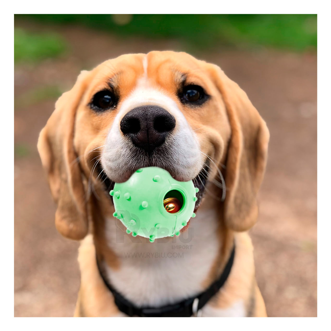 Pelota De Jebe Compacta con Puntos de Color Verde