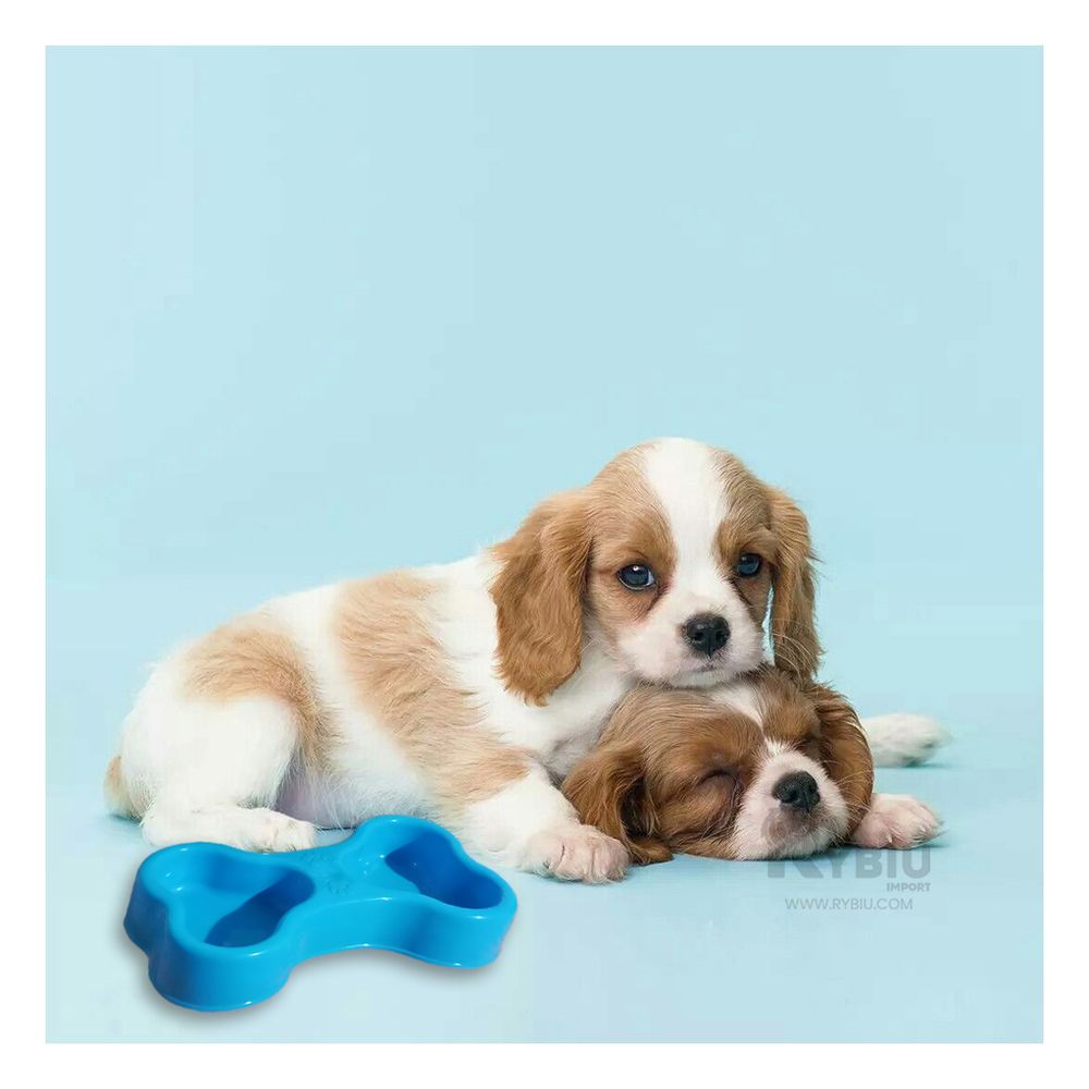 Plato Doble Forma de Hueso Delgado para Pet Color Celeste Plato Doble Forma de Hueso Delgado para Pet Color Celeste