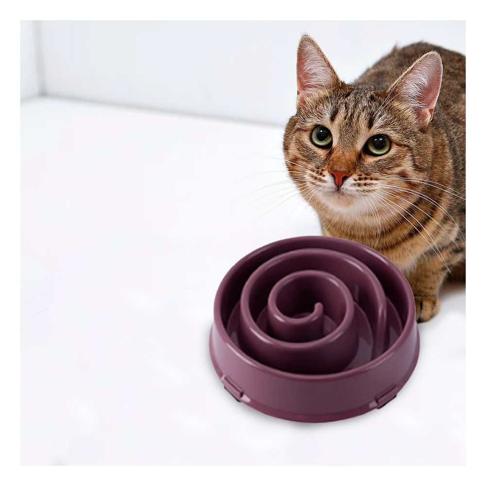 Plato Desestresante de Espiral en Guinda Y+Papel de Regalo Plato Desestresante de Espiral en Guinda Y+Papel de Regalo