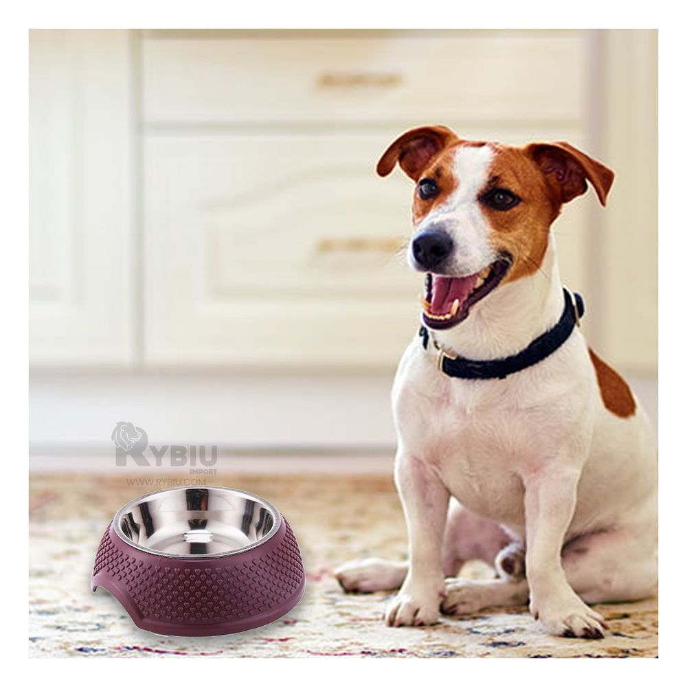 Plato Desmontable para Perro en Tono Purpura Y+Stickers Plato Desmontable para Perro en Tono Purpura Y+Stickers