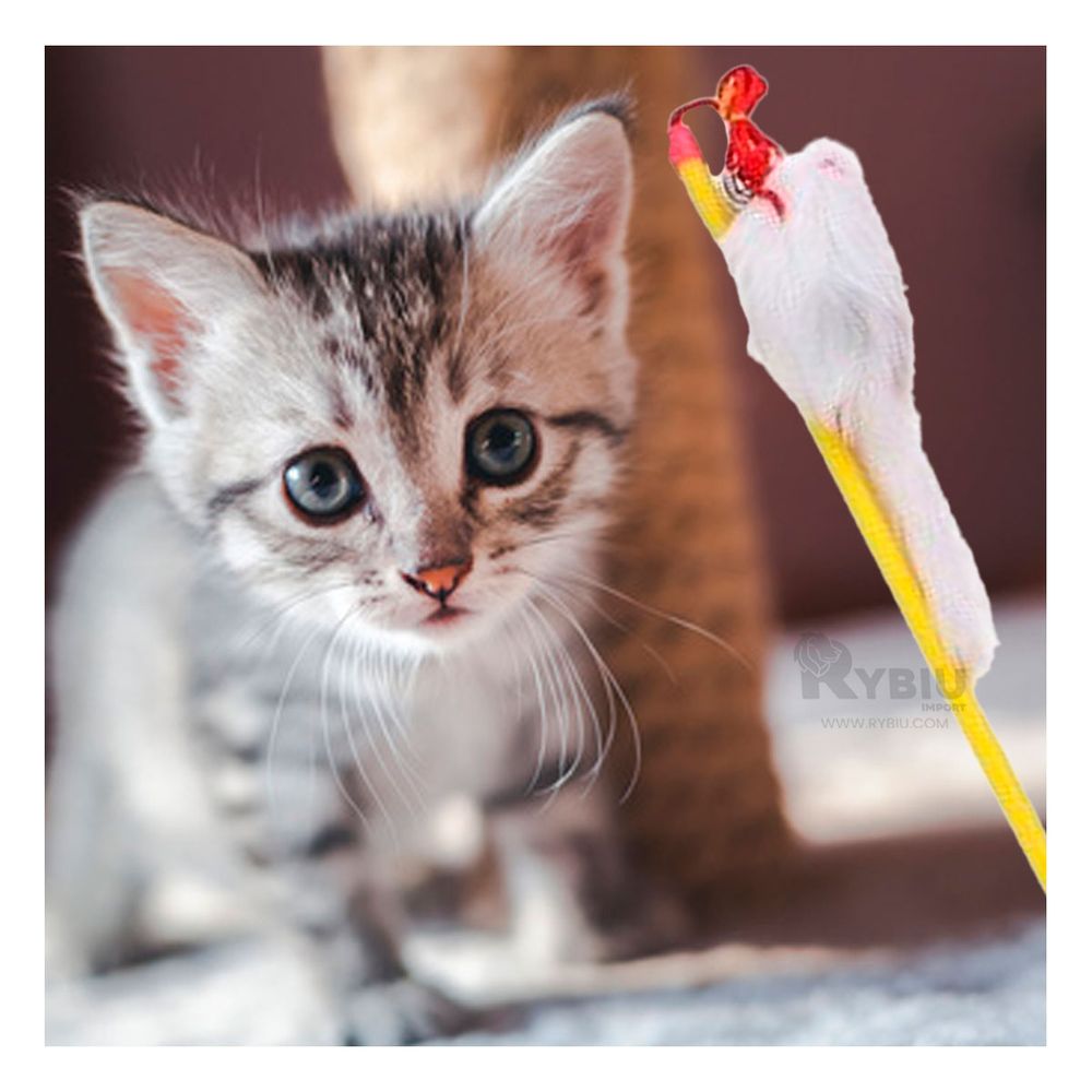 Varita Interactiva de Gato con Roedor en Amarillo Y+Agendita Varita Interactiva de Gato con Roedor en Amarillo Y+Agendita