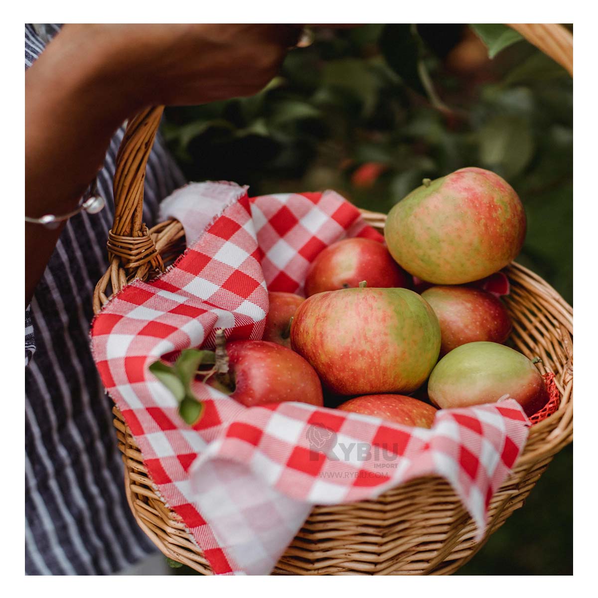 Canasta de Mimbre para Frutas Marron Y+Papel de Regalo