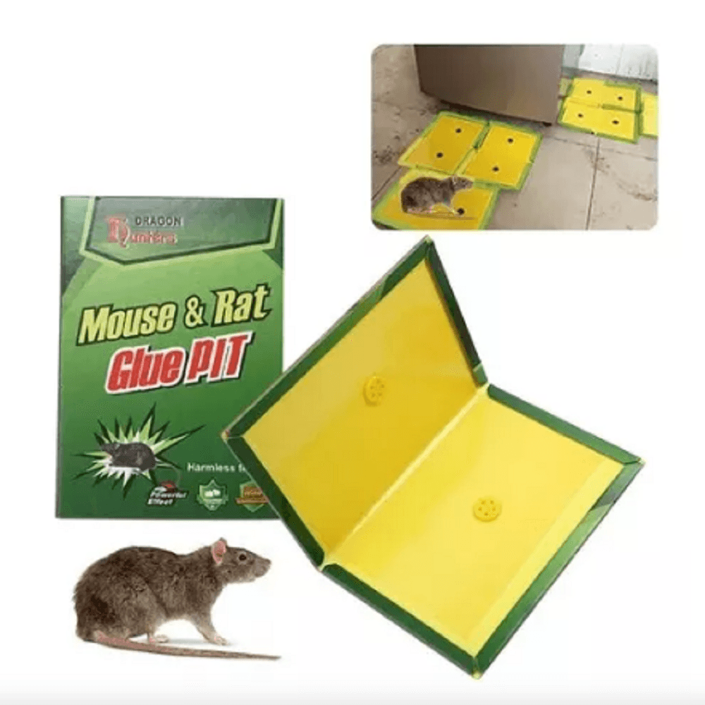 Trampa Pega Rata