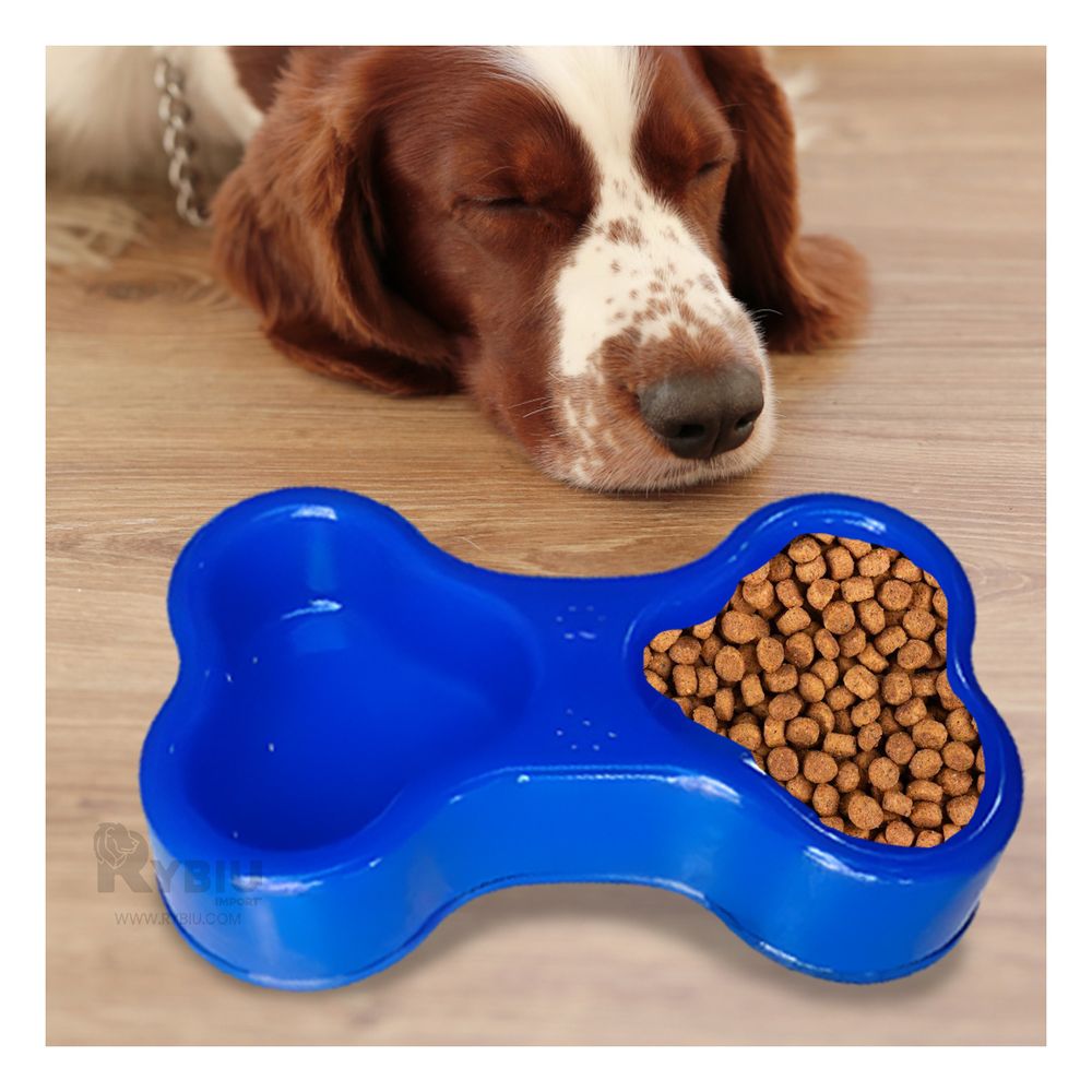 Plato Resistente para Pet Doble Azul Y+Papel de Regalo Plato Resistente para Pet Doble Azul Y+Papel de Regalo