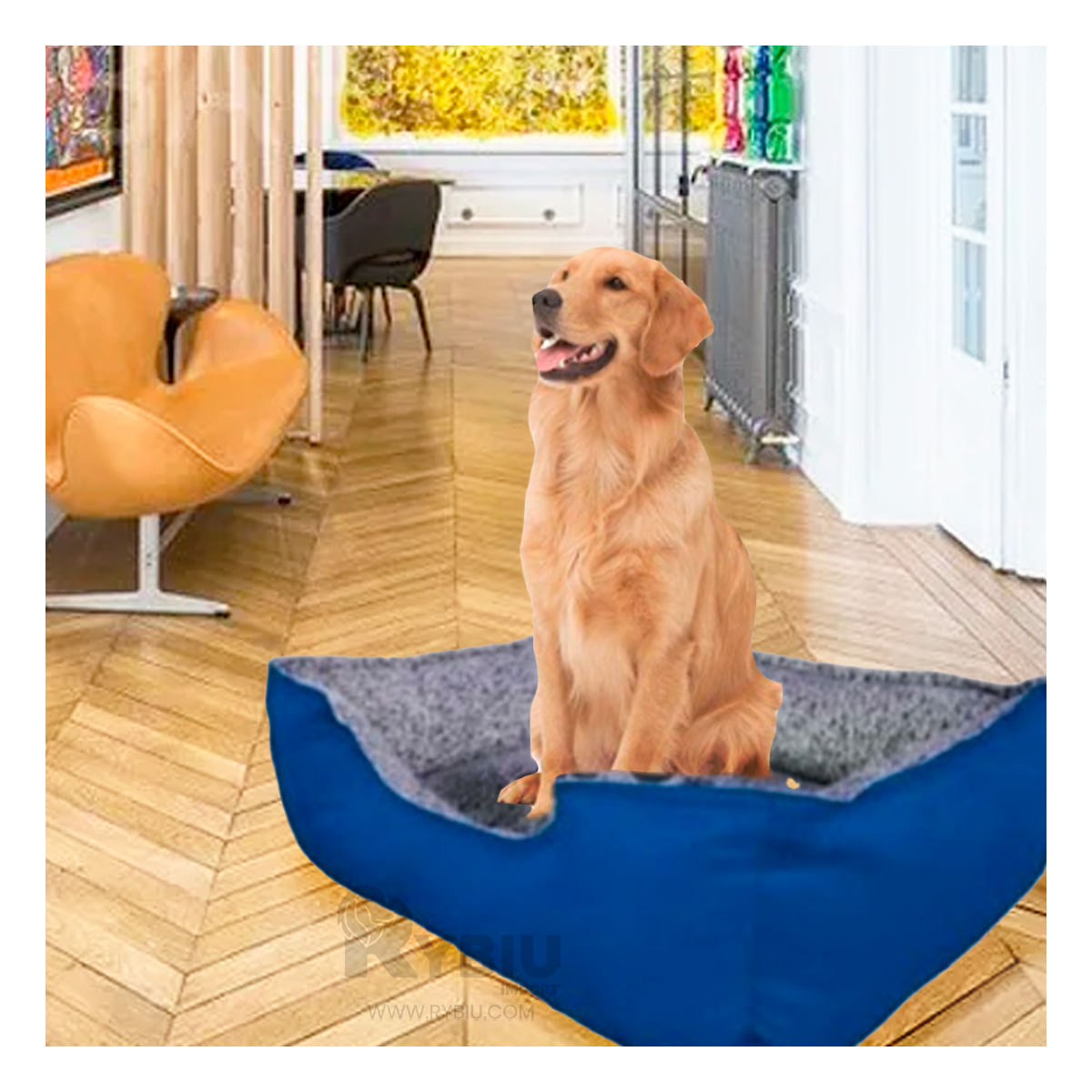 Cama Canina de Color Azul en Talla XXL Y+Papel de Regalo