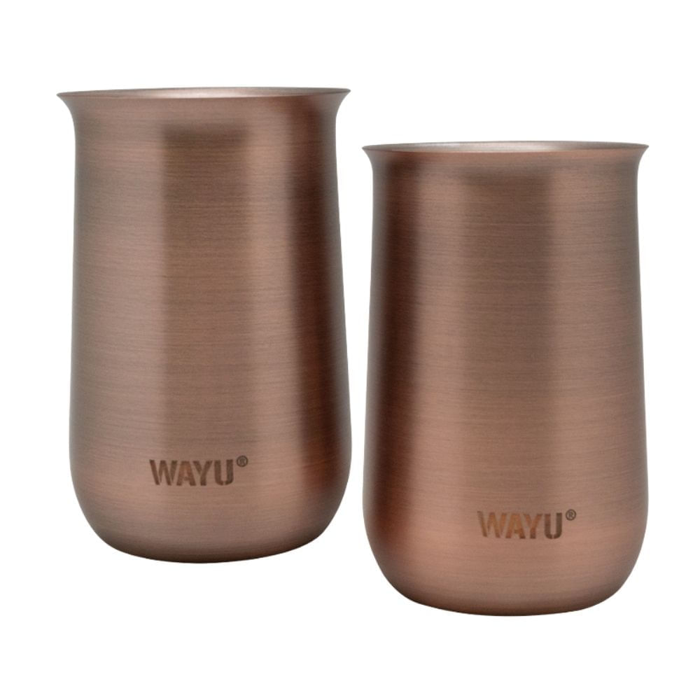 Set de 2 Vasos Aperitivo Wayu Copper Line de Acero Inoxidable con Detalles en Cobre