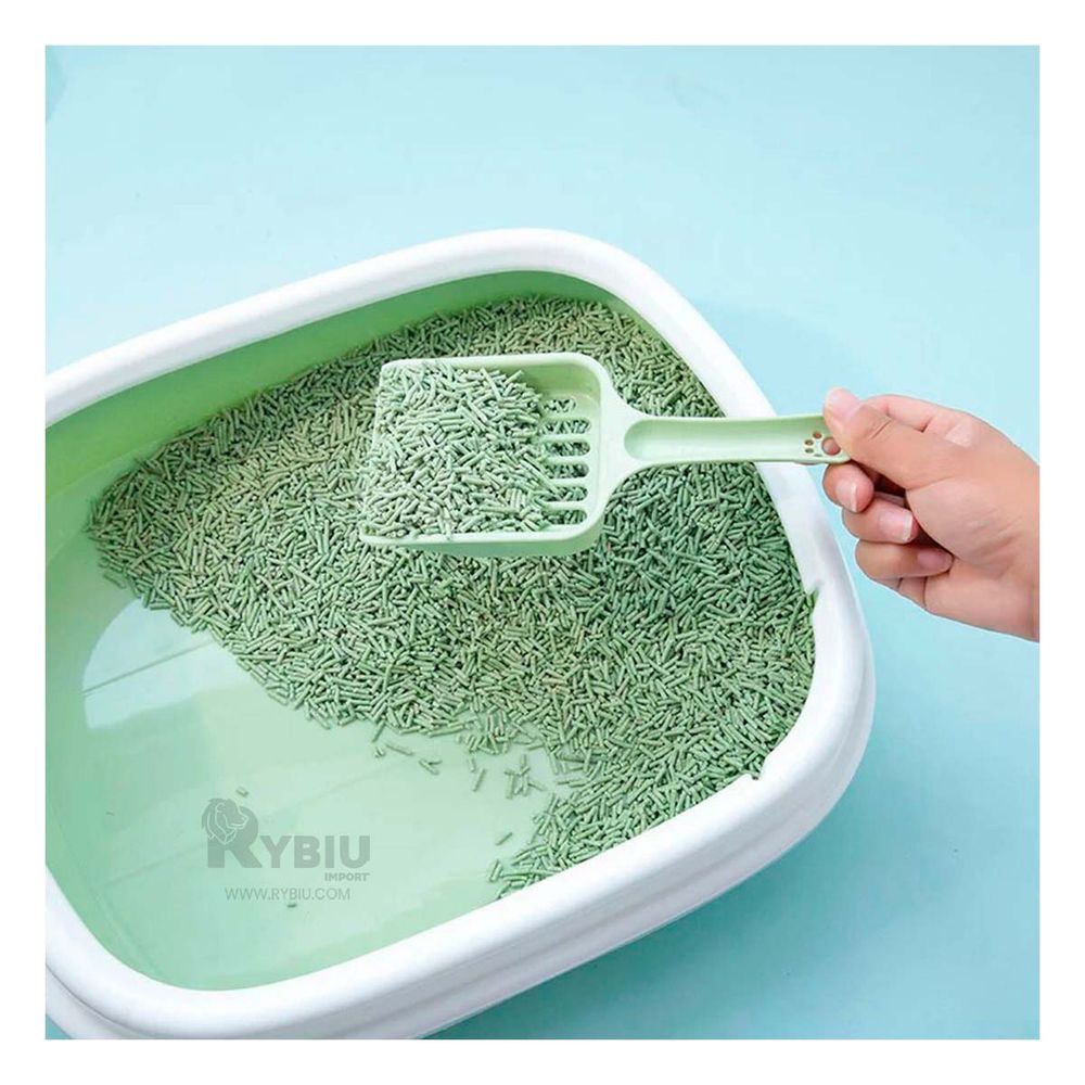 Arenero Practico y Moderno 40x33x11 Verde Y+Regalo Agendita Arenero Practico y Moderno 40x33x11 Verde Y+Regalo Agendita