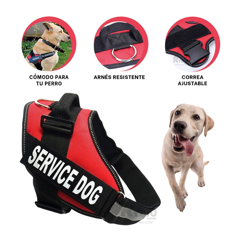 Correa Practica de Mascotas Talla L Rojo Y+Post-it Adhesivos Correa Practica de Mascotas Talla L Rojo Y+Post-it Adhesivos