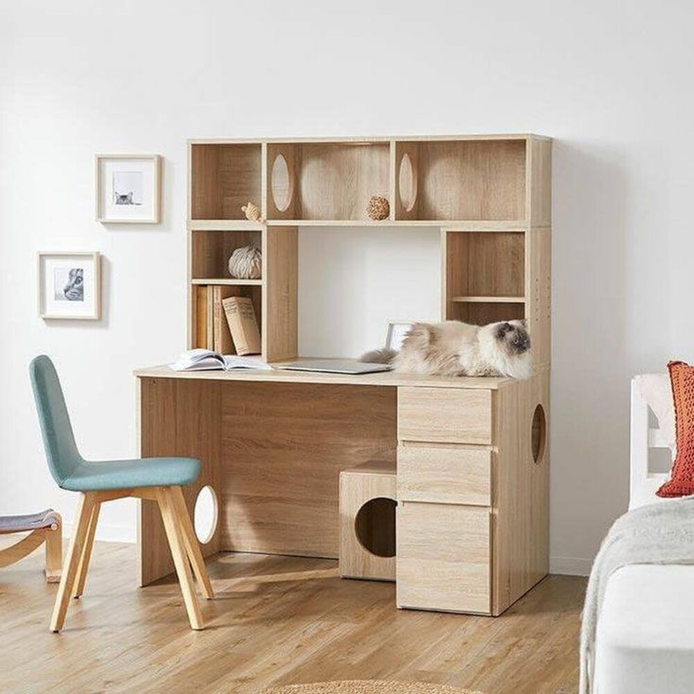 image-a5dc71c2787c4badb62e7d2b19566293 image-a5dc71c2787c4badb62e7d2b19566293