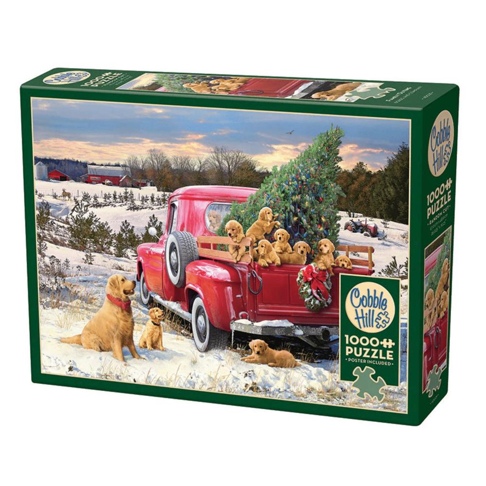 imageUrl_1 imageUrl_1