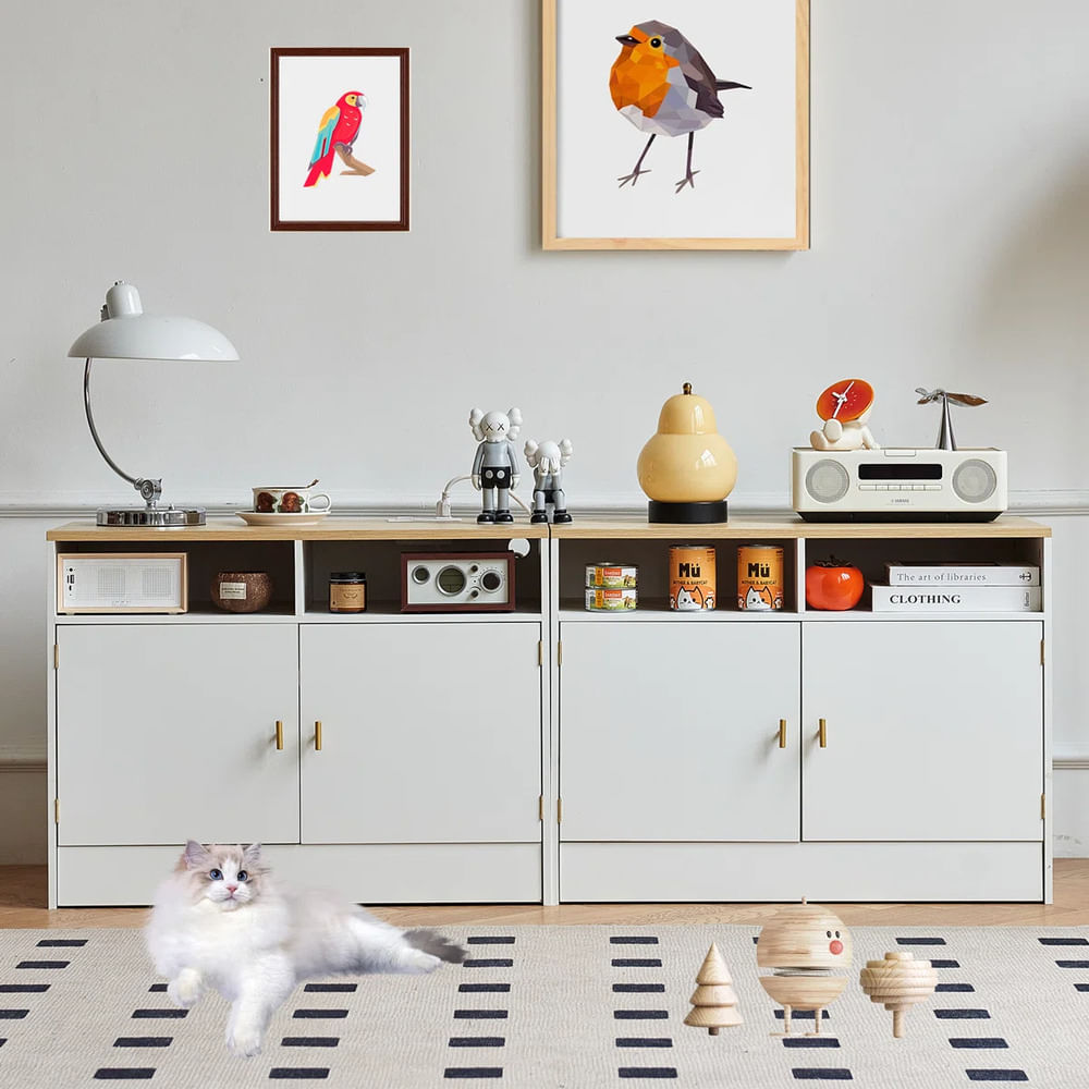 imageUrl_1 imageUrl_1