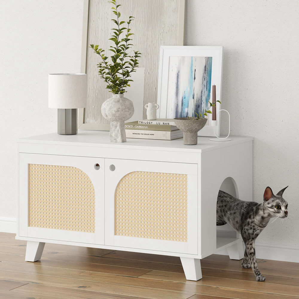 imageUrl_1 imageUrl_1