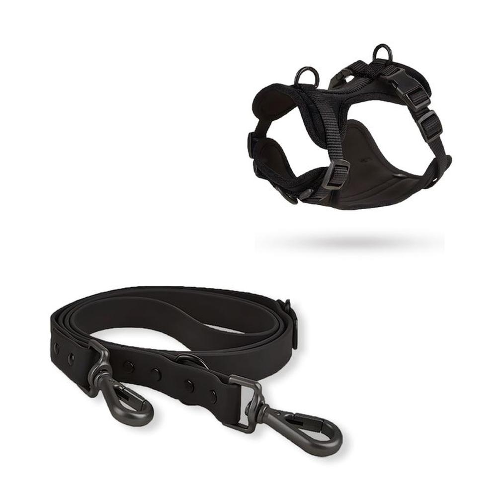Correa y Pechera Ajustable Para Perros Negro - Talla S Correa y Pechera Ajustable Para Perros Negro - Talla S