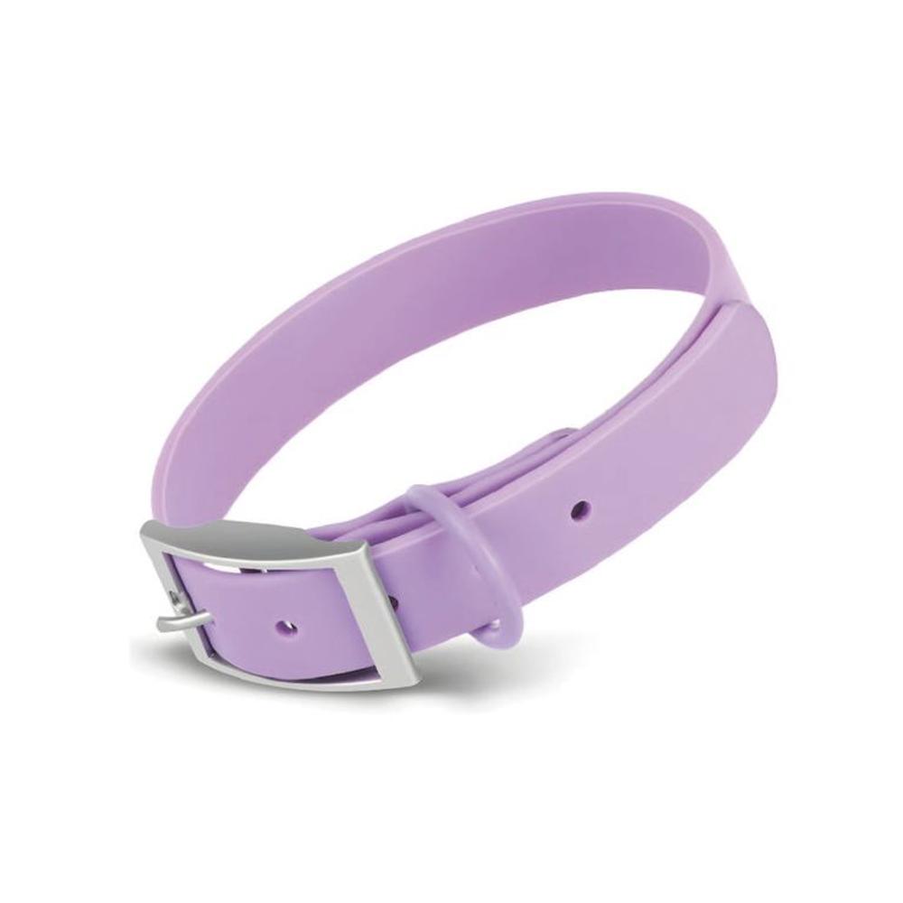 Collar Para Perros PVC Impermeable Lila - Talla S Collar Para Perros PVC Impermeable Lila - Talla S