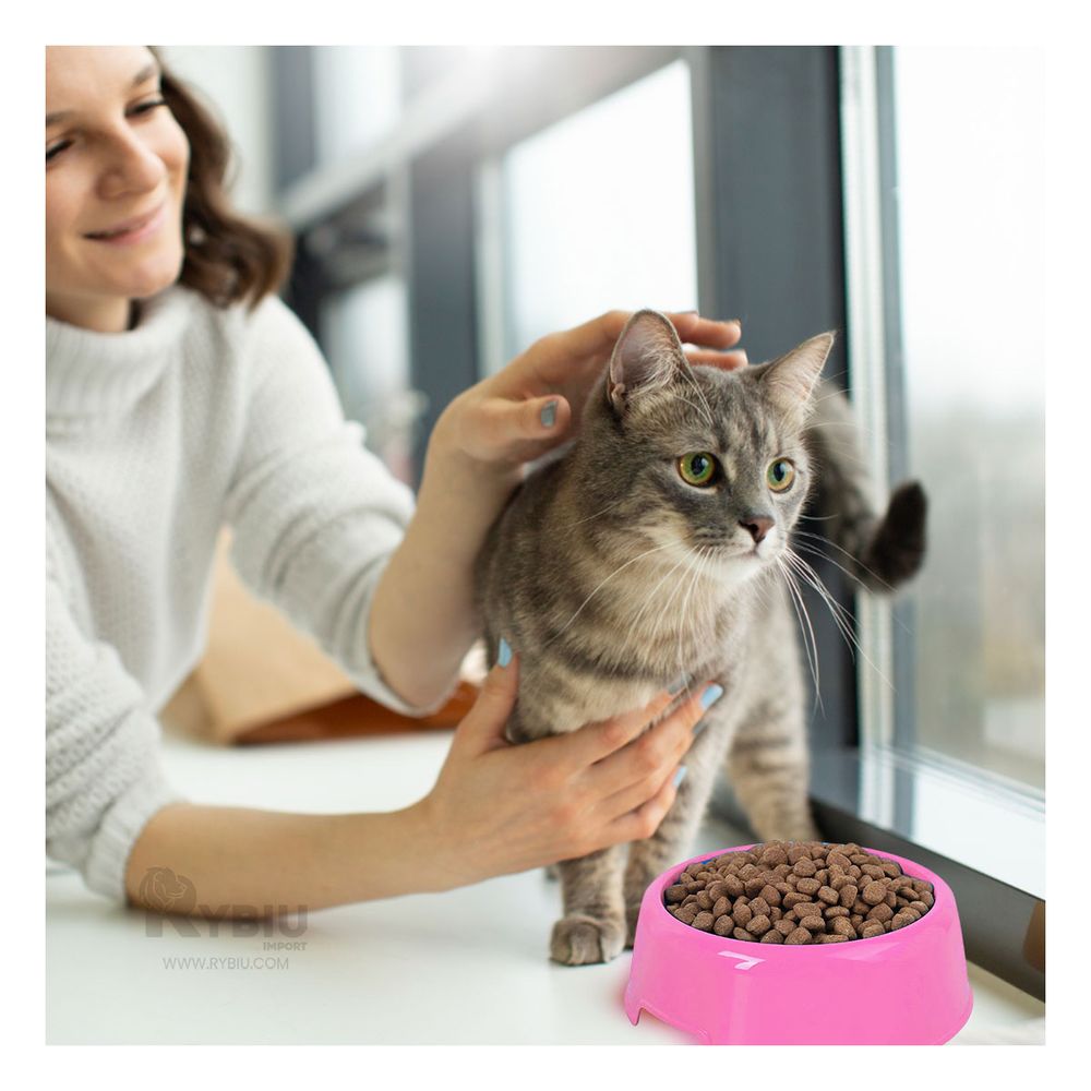 Plato Innovador para Pets de Color Rosado Y+Stickers Plato Innovador para Pets de Color Rosado Y+Stickers