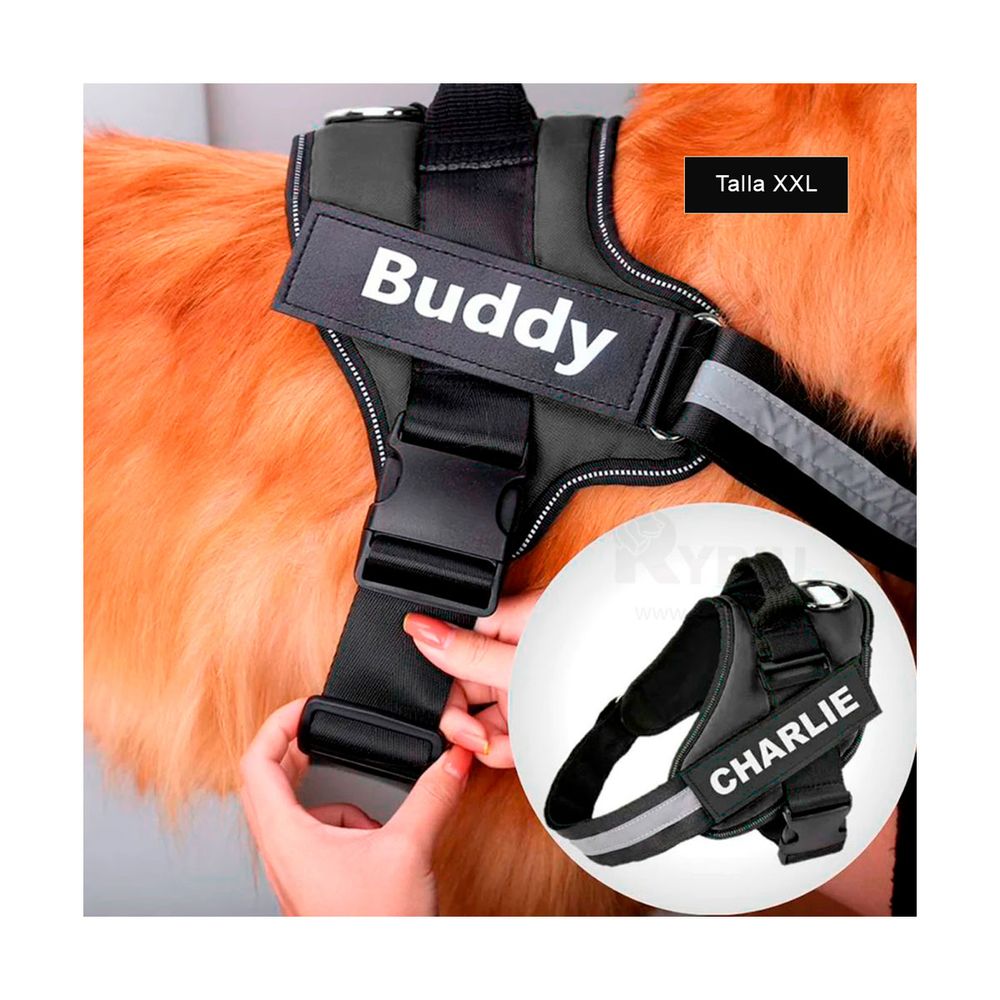 Correa para Perros Ideal en Negro XXL Y+Post-it adhesivos Correa para Perros Ideal en Negro XXL Y+Post-it adhesivos