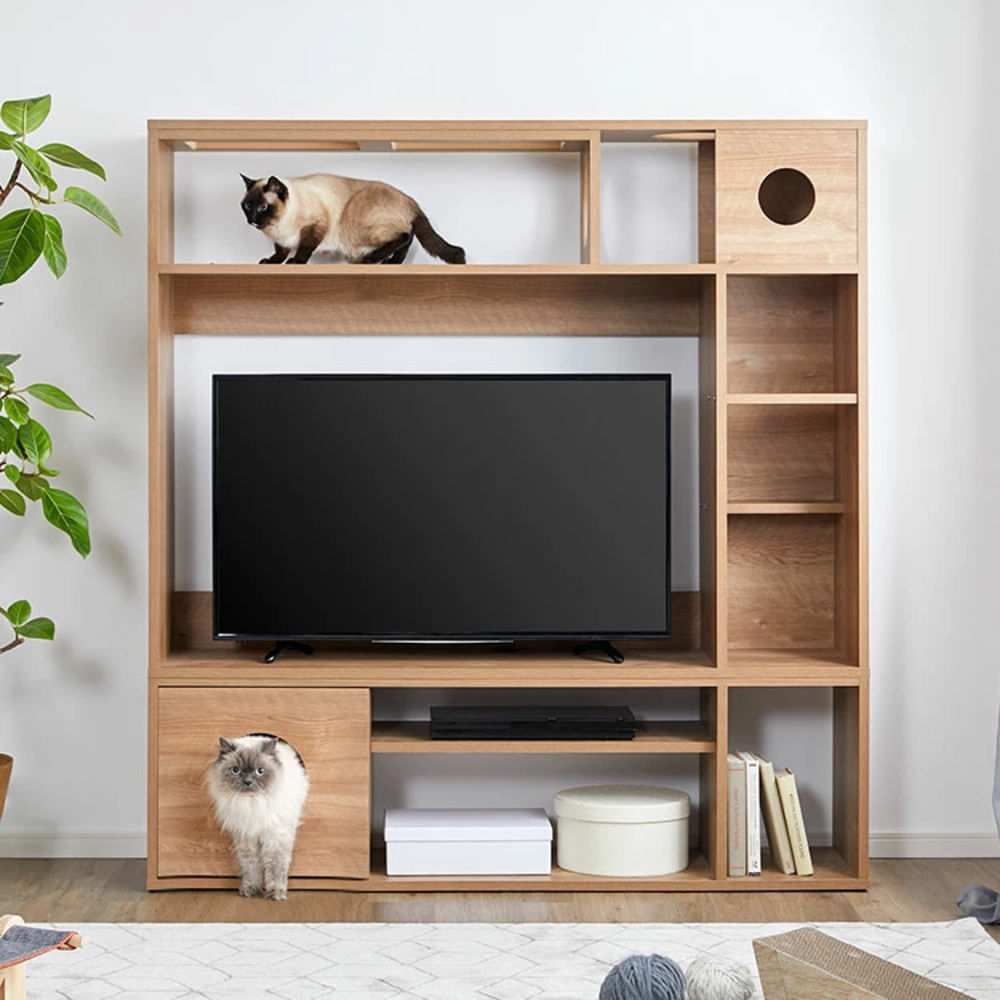 image-b0c45e86dba644cf8739dc1439a2848e image-b0c45e86dba644cf8739dc1439a2848e