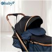 imageUrl_2