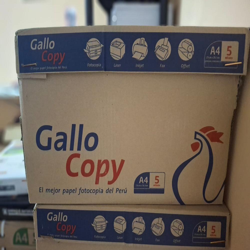 imageUrl_1 imageUrl_1