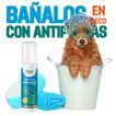 image-ab86fd70df7d4294a07684ea17ba64b9