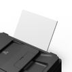 imageUrl_4