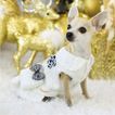 imageUrl_5