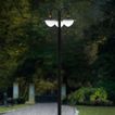 imageUrl_4
