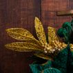 imageUrl_4