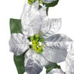 imageUrl_2