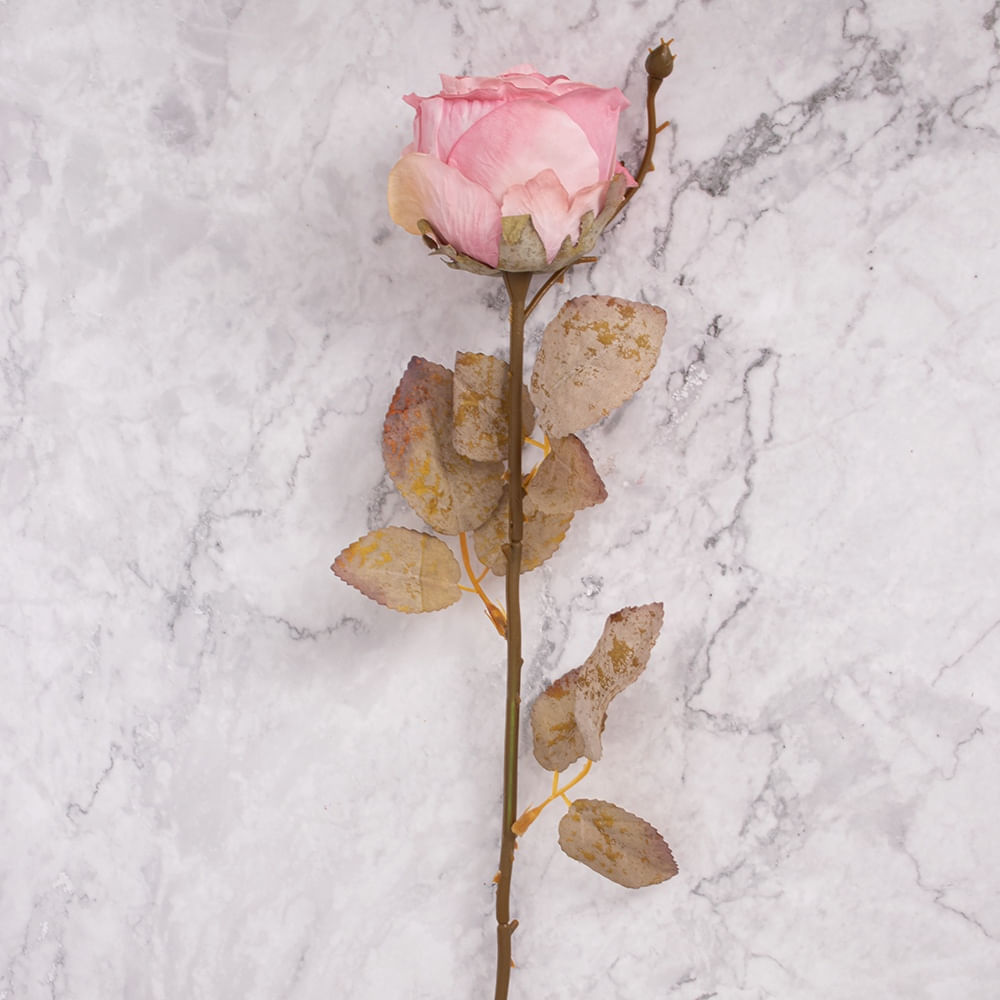 Rosa en Vara Rosa Pack de 2 Panorama Hogar